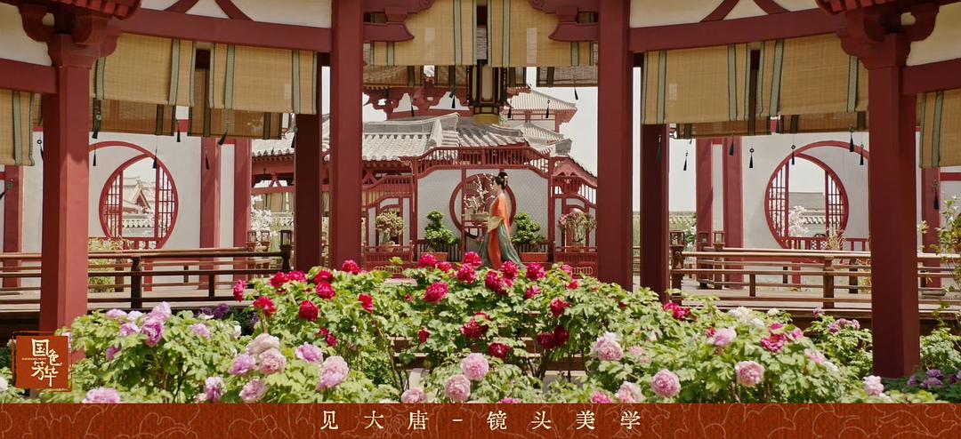 国色芳华是一部群芳谱（国色芳华）剧评