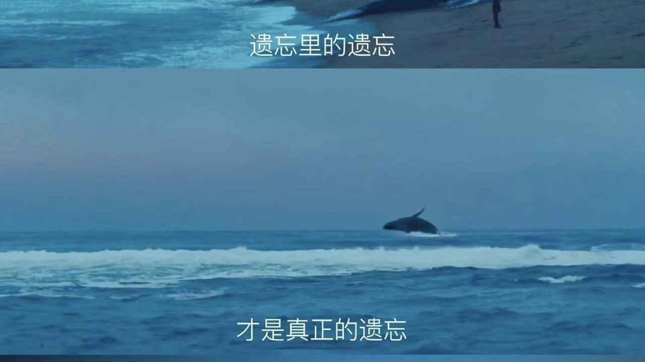 成长必看5部电影，美如诗后劲大，部部封神！