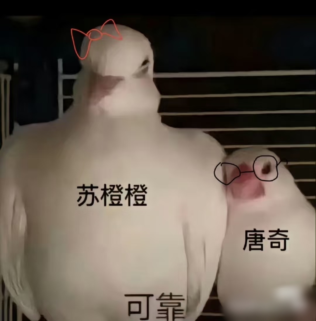 滤镜大王，一节更比一节强（滤镜）剧评