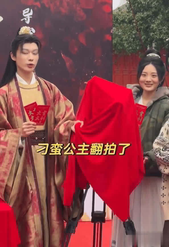 《刁蛮公主》翻拍引争议，男女主颜值翻车网友直呼没必要