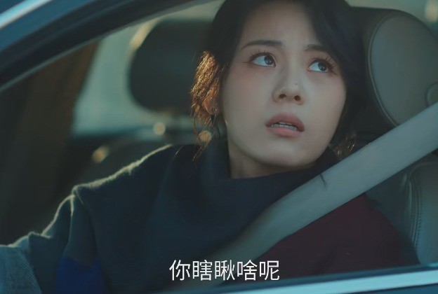 东北宇宙回归！比《鹊刀门》还逗，全员喜剧人，连刷4集笑疯