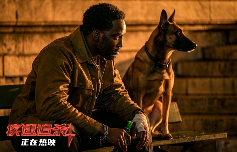 电影《疾速追杀4》今日上映 基努·里维斯甄子丹硬核对决震撼银幕