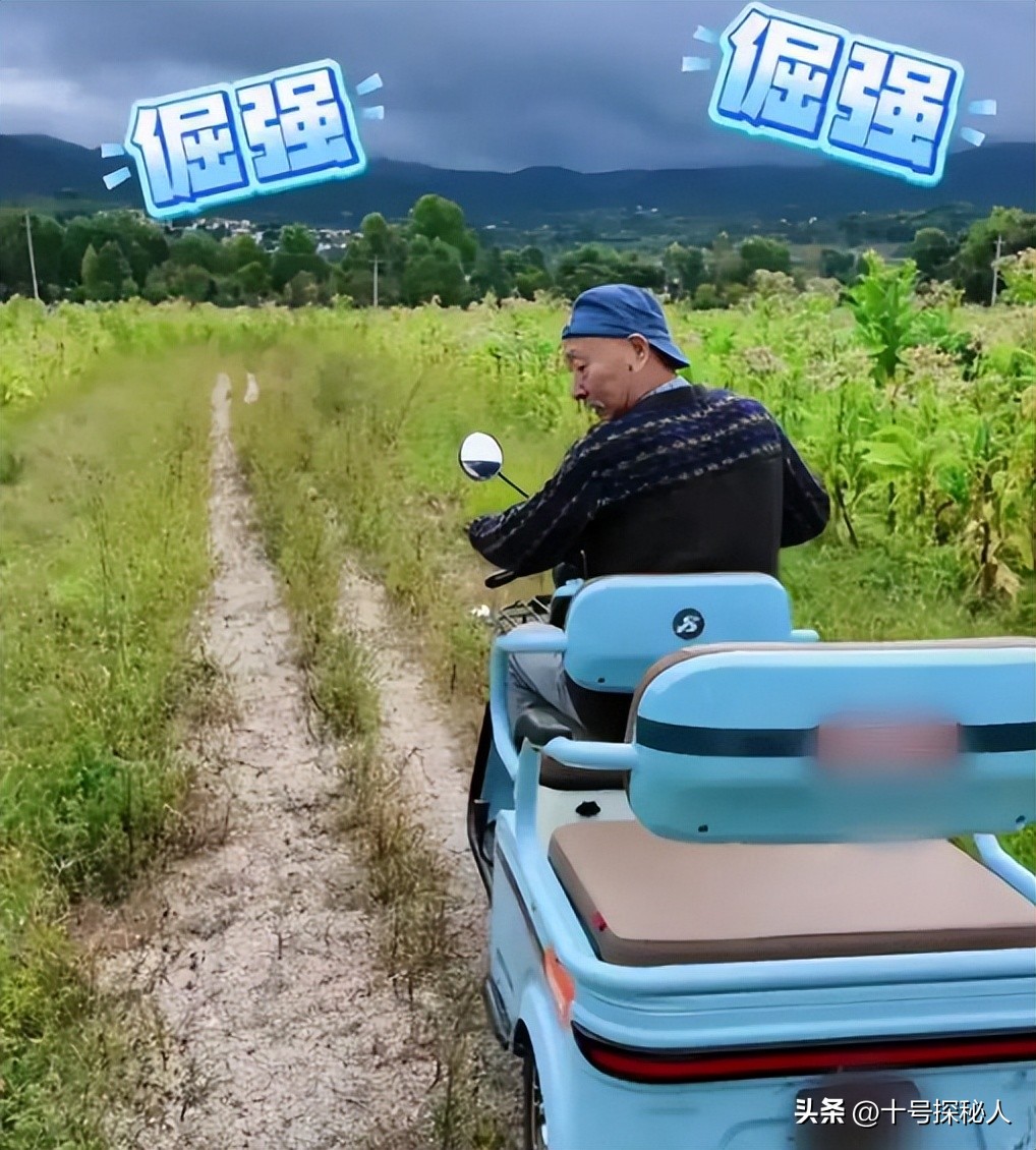 70岁陈佩斯拄拐杖现身，苍老许多，开电动三轮车，两次翻进水沟！
