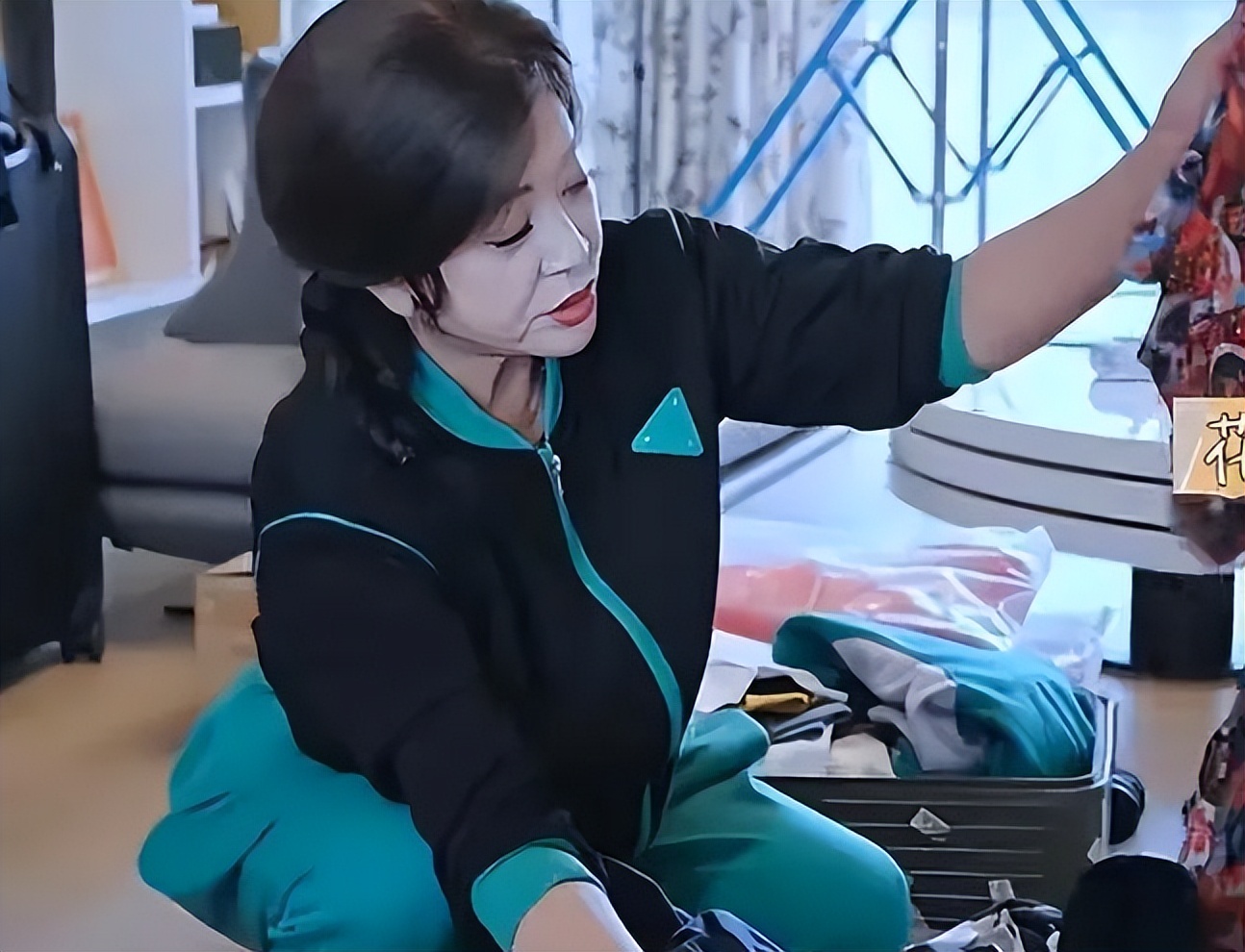 刘晓庆的大豪宅曝光，家里院子超大，还养了四只小狗