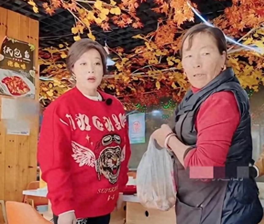 刘晓庆的大豪宅曝光，家里院子超大，还养了四只小狗