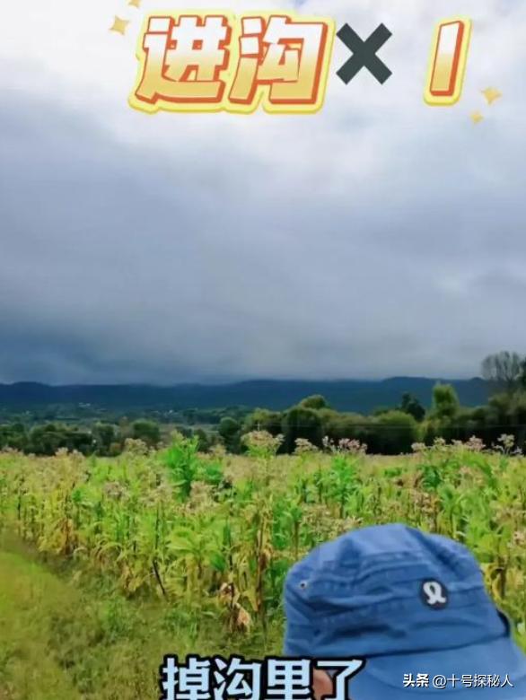 70岁陈佩斯拄拐杖现身，苍老许多，开电动三轮车，两次翻进水沟！