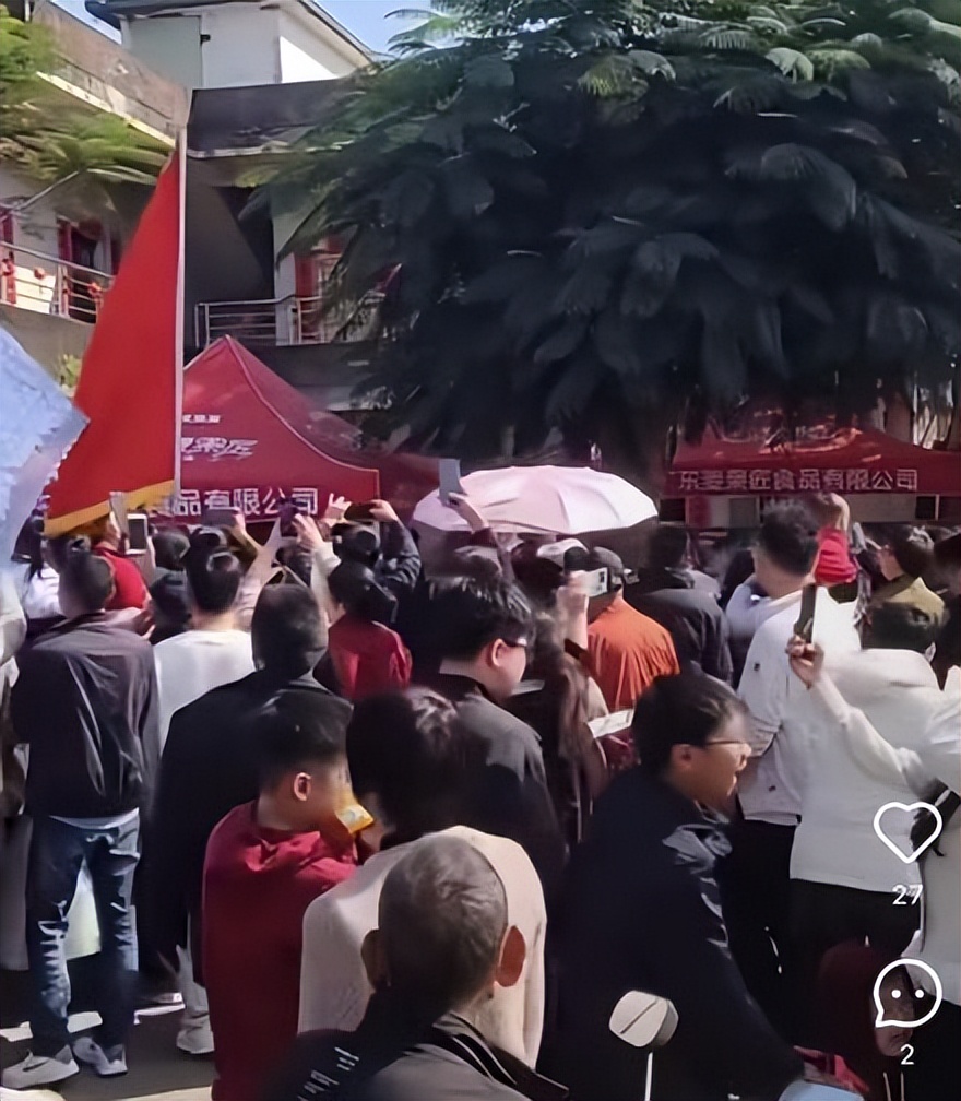 游客疯狂围堵差点引发冲突，大年初一全红婵怒而发声，理智一点吧