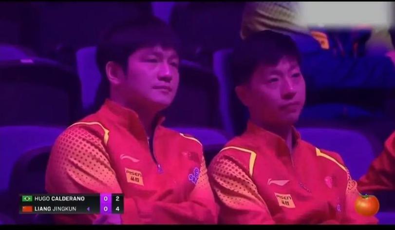 以为是假新闻，其实是真新闻，从樊振东到袁立，个个离谱又惊人！